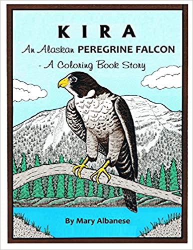Kira An Alaskan Peregrine Falcon A Coloring Book